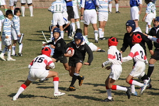 0Vr061.JPG