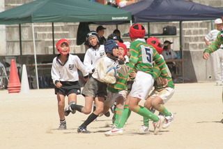 07087.JPG
