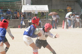 07259.JPG
