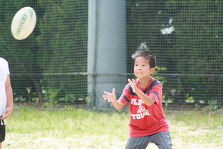 07082660.JPG