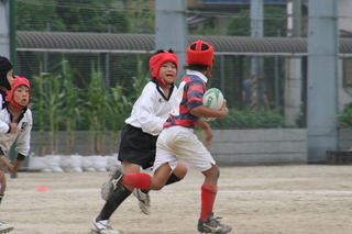 08x10.jpg