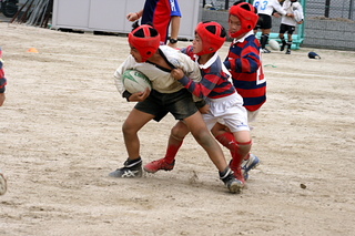 08x14.jpg