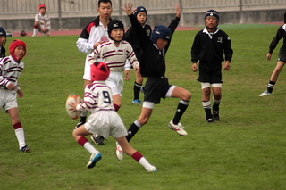 08XN[039.JPG