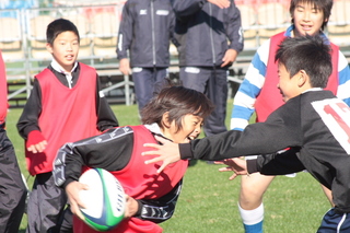 08~YmC028.JPG