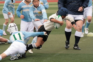 08ߑJ[jo81.JPG