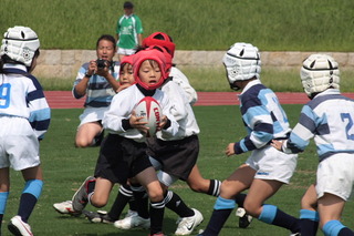 08010.JPG