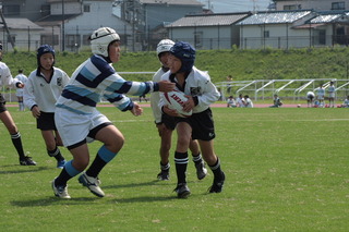 08073.JPG