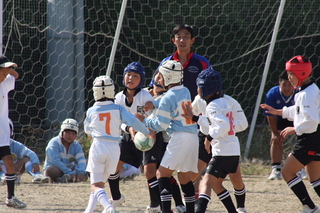 0810067.JPG