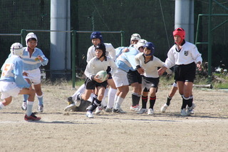 0810075.JPG