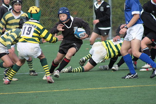 09gdRO097.JPG