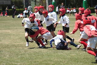 10V197.JPG