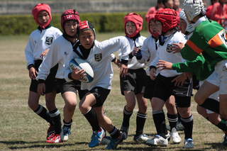10V383.JPG