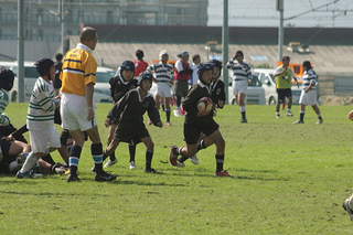 11O}K181.JPG