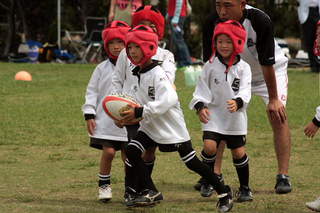 11ΎsJ[jo219.JPG