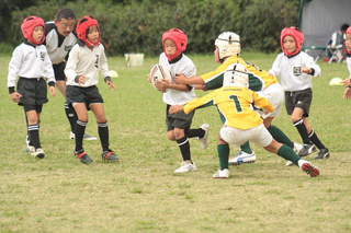 11ΎsJ[jo301.JPG