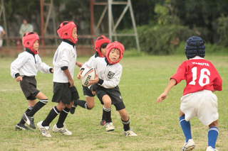 11ΎsJ[jo439.JPG