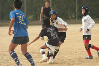 11Vh598.JPG