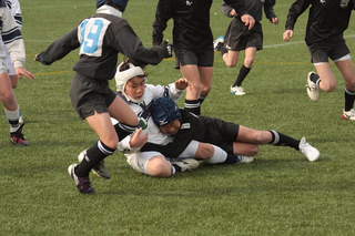 11.5N045.JPG