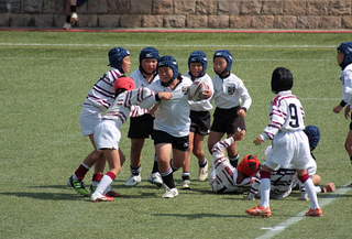 12I[^`W041.JPG