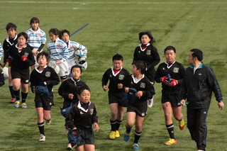 13.t178.jpg