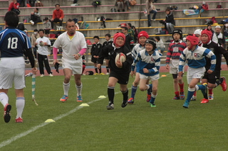 IMG_0290.jpg