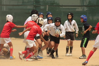 IMG_1448.jpg