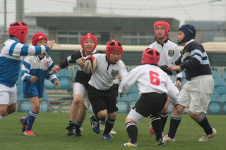 IMG_2073.jpg