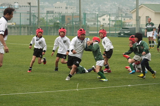 IMG_2096.jpg