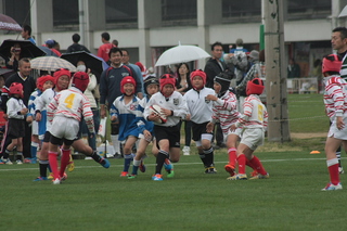 IMG_2181.jpg