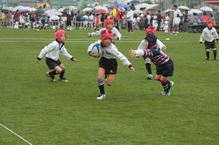 IMG_2256.jpg
