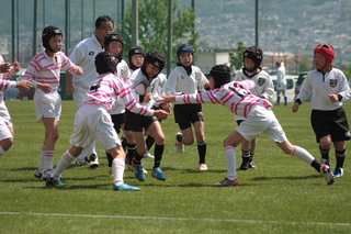 IMG_3101.jpg