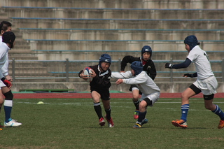 IMG_3254.jpg