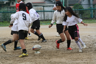 IMG_3393.jpg