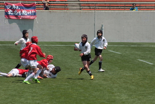 IMG_3420.jpg