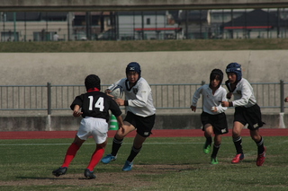 IMG_3816.jpg