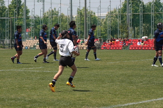 IMG_3871.jpg