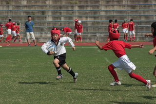 IMG_3932.jpg