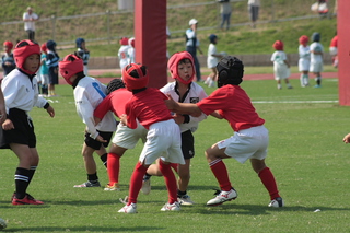 IMG_4027.jpg