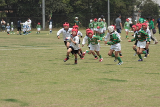 IMG_4120.jpg