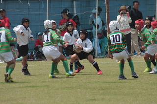 IMG_4228.jpg