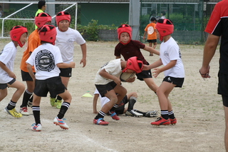 IMG_4401.jpg