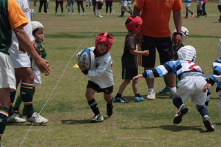 IMG_4572.jpg
