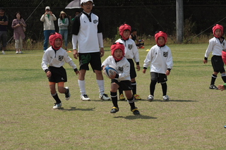 IMG_4722.jpg