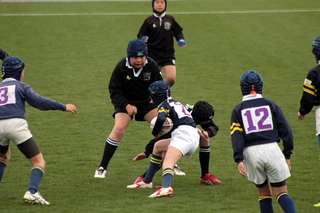 IMG_4871.jpg