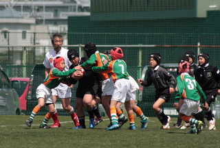 IMG_5277.jpg