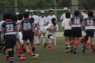 IMG_5966.jpg