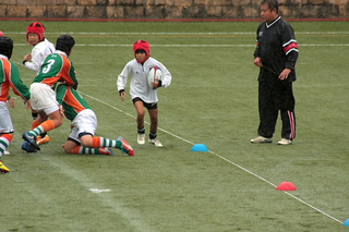 IMG_6239.jpg