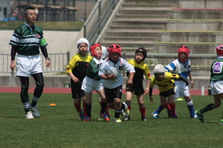 IMG_6436.jpg