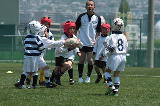 IMG_6524.jpg