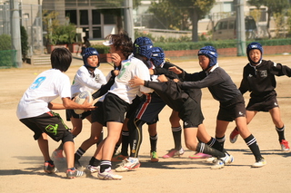 IMG_6793.jpg